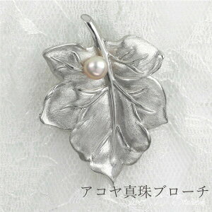 yP5{ 12/1z^ ARp[ u[` y_g u[`py_ggbv 2WAY [t`[t t [v[t fB[X SV925 Vo[925 tH[} p[eB[  