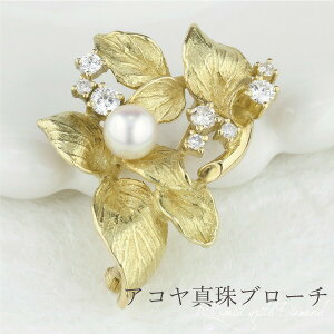 y10%OFFz^ ARp[ _Ch u[` [t`[t t fB[X 18 k18YG tH[} p[eB[  w Ǝ v[g Mtg NX}X