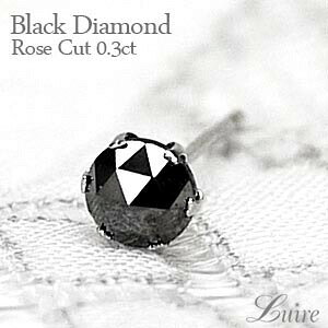 yP10{ 11/20 20:00`zЎsAX [YJbg ubN_Ch sAX 0.30ct ꗱ v`i900 Mtg a v[g LO sAX ubNtCf[