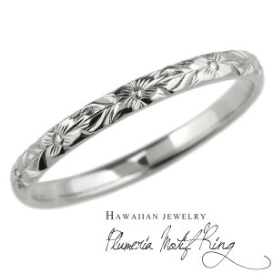 yP10{ 500~OFFN[|znCAWG[ YO Vo[925 SV925 vA  nCA j nO  蒤 w  nhCh lC v[g Mtg 