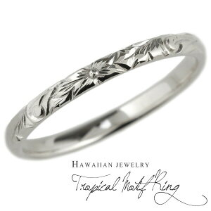 yP10{ 11/20 20:00`znCAWG[ YO v`i900 Pt900 XN[ vA g  j nO  蒤 w  lC v[g Mtg a LO u