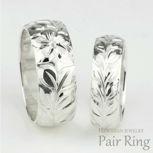 y10%OFFznCAWG[ yAO nCA fB[X Y O v`i900 PT900 nO  蒤 w GQ[WO nhCh nC uC_ N