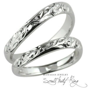 yP5{ 11/30zyAO nCAWG[ v`i900 XN[ g nCA Pt900 n Y fB[X  蒤 蒤蒤 w  nhCh lC v[g Mt