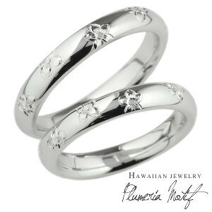 yP5{ 11/30zyAO nCA WG[ Vo[925 vA  nCA j  SV925 nO Y fB[X  蒤 蒤蒤 w  nhCh u