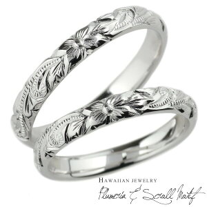 yP5{ 11/30zyAO nCAWG[ 10 10k vA XN[  g k10 S[h n Y fB[X  蒤 蒤蒤 w  j  nhCh lC