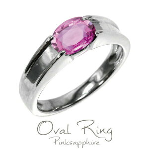 yP10{ 500~OFFN[|zv`i900 sNTt@CA a I[oO PT900 Mtg a v[g S[h ubNtCf[