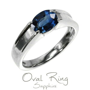 v`i900 Tt@CA a I[oO PT900 Mtg a v[g S[h ubNtCf[