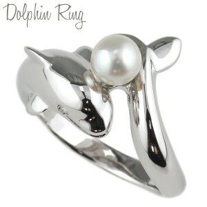 yP5{ 11/30zO v`i900 CJ htB Wp[ _Ch Pt900 w ꗱO fB[X   lC  a LO v[g ubNtCf[