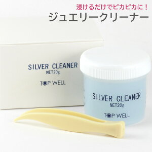 WG[N[i[ Vo[ SV925 t̃N[i[ Vo[t 20g  |  N[jO SILVER925 ANZT[ M  ꗎƂ Mtg v[g I[^Z[