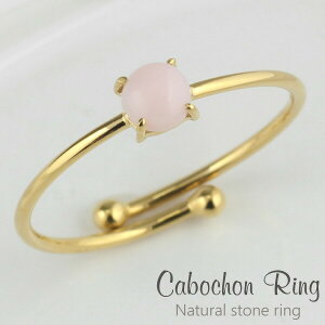 yP5{ 10/30zO w  K5 S[h sNIp[ VR J[Xg[ a 5K 5 ꗱ J{VJbg t[TCY10`15 Vv a v[g ؚ  