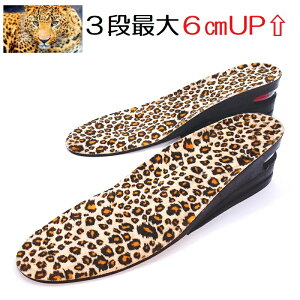 qE 3i 6cm g Abv V[NbgC\[ GA グ  ~ FULL TYPE C\[ ~ Y fB[X p jp  Ռz L r V[Y  