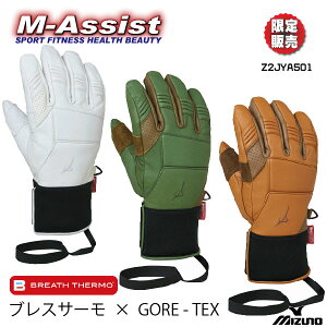 y|Cg2{z MIZUNO Z2JYA501 LEATHER 5FINGER GLOVES GORE-TEX SAebNX uXT[ I[U[ 5tBK[ O[u 5{w Ou BRETH THERMO ALL M h SKI SNOWBOARD g uXT[ MIZUNO