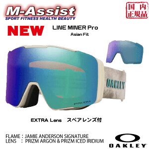 y|Cgz OAKLEY O714315001 71431500 SNOW GOGGLE Line Miner Pro L JAMIE ANDERSON Signature PRIZM ARGON AND ICED IRIDIUM C}Ci[v I[N[ S[O EB^[ SKI SNOWBOARD Ki WC~[ A