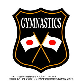 楽天市場 日本代表 ユニフォーム 体操 ダンス スポーツ アウトドア の通販