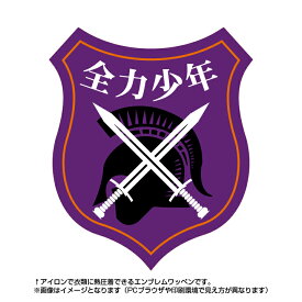 楽天市場 サッカー アイロンワッペンの通販