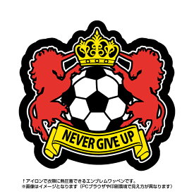 楽天市場 サッカー アイロンワッペンの通販