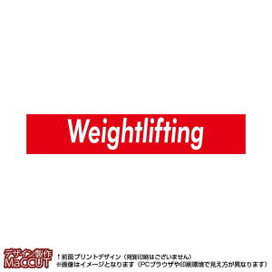 }t[^I dʋ(Ԃɔweightlifting)}CNt@Co[fރ^I20×110TCY