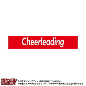 }t[^I `A[fBO(Ԃɔcheerleading)}CNt@Co[fރ^I20×110TCY
