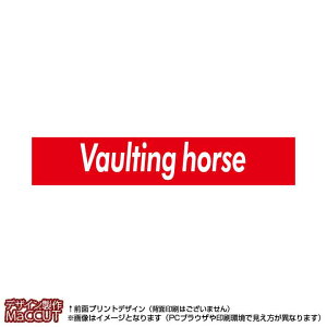 }t[^I n(Ԃɔvaulting horse)}CNt@Co[fރ^I20×110TCY