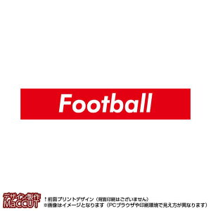 }t[^I tbg{[(Ԃɔfootball)}CNt@Co[fރ^I20×110TCY
