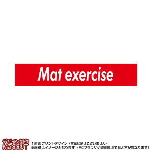 }t[^I }bg^(Ԃɔmat exercise)}CNt@Co[fރ^I20×110TCY