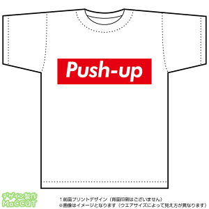 rĕTVc(push-up)Xg[gnBOXSfUC̃hCX|[cTVcF
