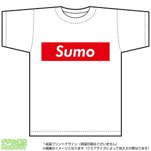 oTVc(sumo)Xg[gnBOXSfUC̃hCX|[cTVcF