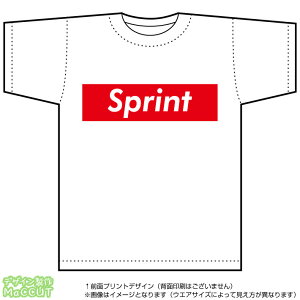 ZTVc(sprint)Xg[gnBOXSfUC̃hCX|[cTVcF