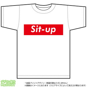 TVc(sit-up) Xg[gnBOXSfUC̃hCX|[cTVcF