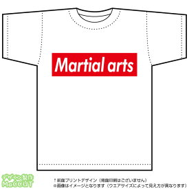 武道Tシャツ(martial arts)ストリート系BOXロゴデザインのドライスポーツTシャツ：白