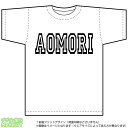 楽天市場 スポーツアイテム スポーツtシャツ ゼッケン ワッペン Tシャツ濱松屋