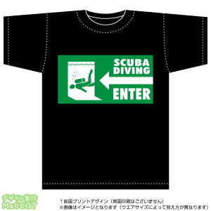XL[o_CrOTVc()Rbg100Ȑn(/T[N/Cxg/Mtg/ʔ)
