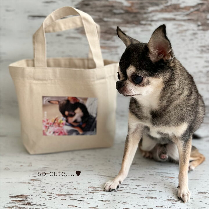 楽天市場】【名入れ＆写真入り】 トートバッグ 犬 キャンバストート  