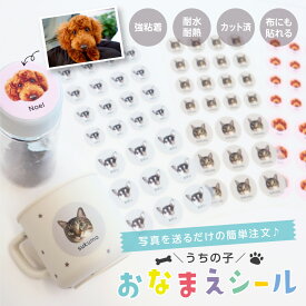 お名前シール 写真入り ペット 犬 猫 日本製 アイロン不要 耐水 防水 強粘着 オーダーメイド お散歩グッズ 北欧 マックカット 写真入りグッズ