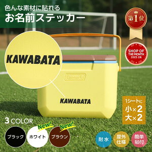 楽天1位 お名前ステッカー ザラザラ対応 クーラーボックス 防水 ネームステッカー カッティングステッカー 部活 少年団
