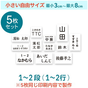 y5ZbgzRTCY[bP ŏ3cm`ő8cm Iׂ鐶n^Cv [bP