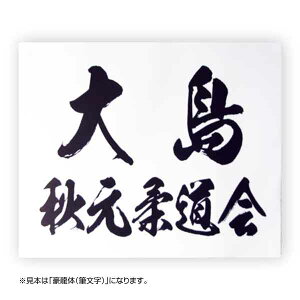 _[bP(fUC)W30cm×H21cm X|[c[bP