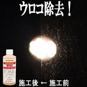 車 イオンデポジット 除去剤の人気商品 通販 価格比較 価格 Com