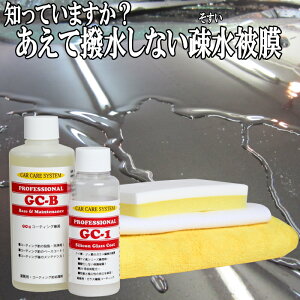 KX@یnR[eBO܁uGC-1vvZbgWAX |}[ a vp KXn Vv[  a KXR[eBO A~ zC[ NX vdl  C  N[i