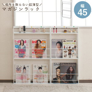 ^ ǖʃ~j}KWbN 45cm zCg uE rO[ Ƌ fBXvCbN ~j }KWbN }KW[ {I I IV  I[vbN t[