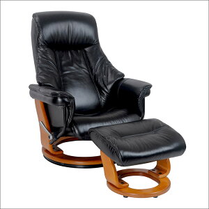 �l�ԍH�w �����{�v�i�O���[�u���U�[�j ���N���C�j���O�`�F�A �j���p�E�����p ���[�^�C�v Stature�@���ϋv���� �I�ׂ�3�F�@ ���N���C�j���O�`�F�A ���Ƀ��X 1�l�|�� ��̓� ���̓� �h�V�̓� �M