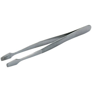  SK11EsZbg]؎pENO.10 y10P24Oct15zyRCPz