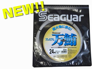 Nn@Seaguar V[K[ v~A@24