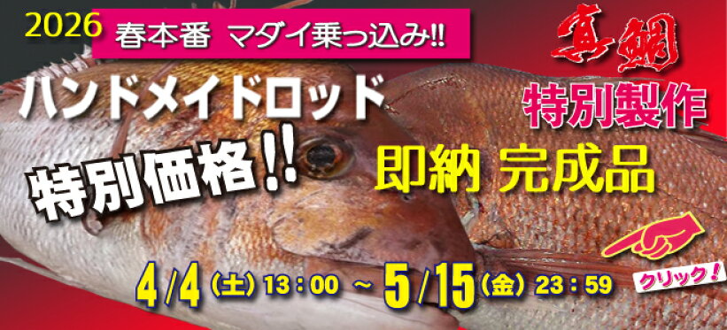 マダイ　乗っ込み祭り