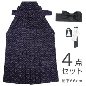 m݁nj̎qя4_Zbg6΁iR66cmj{ hbwn661