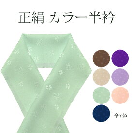 【ネコポス300円可】正絹 カラー半衿tahm
