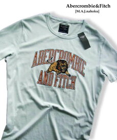 楽天市場 水色 ブランドアバクロンビー フィッチ Tシャツ カットソー トップス メンズファッションの通販