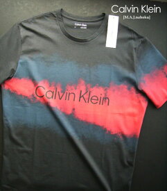 424新品★カルバン クライン　Calvin Klein★グラデーションロゴTシャツ3304★ダークグレー★L★MENS