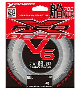 XBRAID GbNXu[h GbNXuCh bhI[V V6 DnX 100m 14 i` {͂񂹐iłp