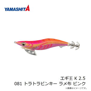 (}V^) GM K 2.5 081 ggsL[